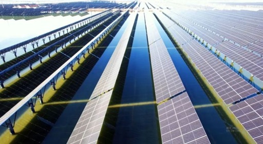 山東?；胶忭?xiàng)目